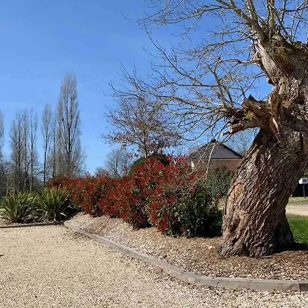 La Birette Villa Vignoux-sur-Barangeon Exterior photo